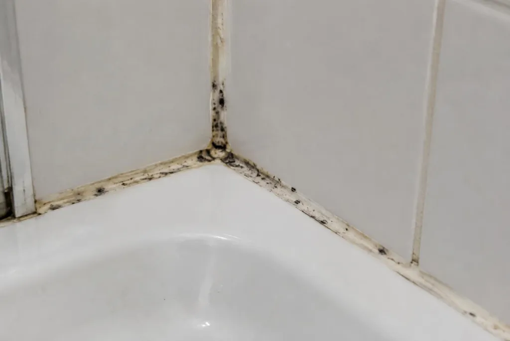 Kitbedrijf Enkhuizen – beschimmelde kitranden